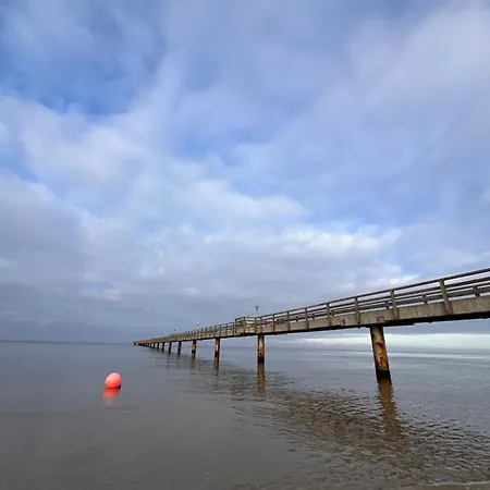 Stormy Im Nauticum Lubmin