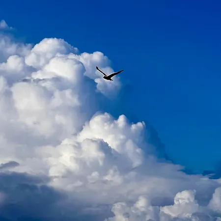 شقة Stormy Im Nauticum